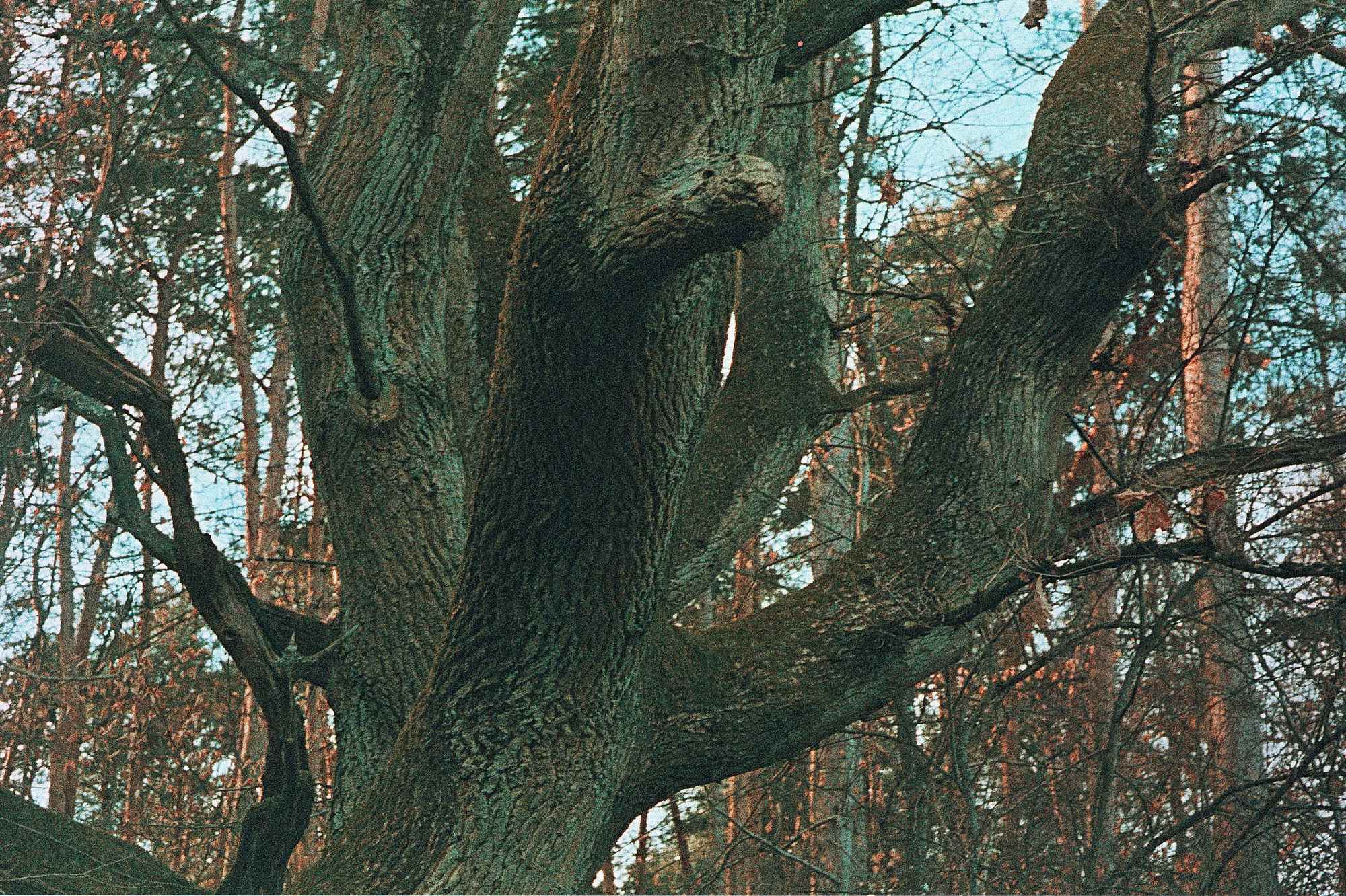 Vkl 2019 02 20 Leica CL 7Artisans Precisa cross (9)